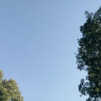 ビューカード メリットに関する画像