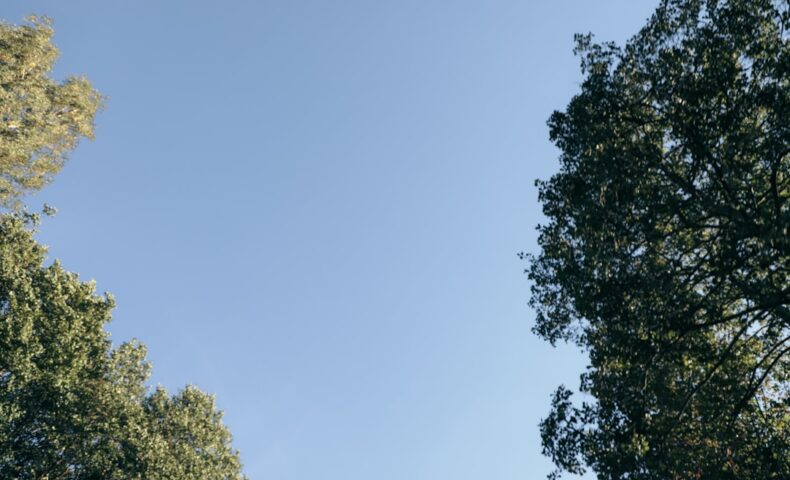 ビューカード メリットに関する画像